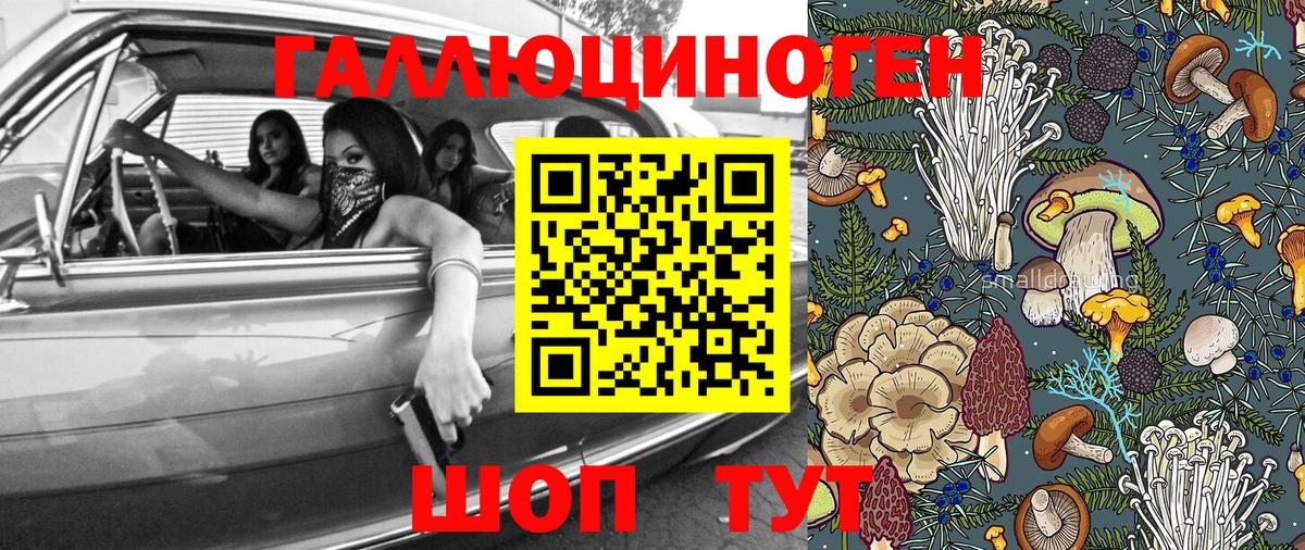Псков  Галлюциногенные грибы MAGIC MUSHROOMS  Вход с VPN  Галлюциногенные грибы ЛСД 