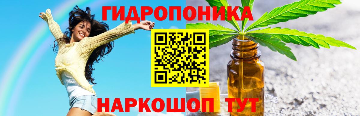 Канабис сатива Псков